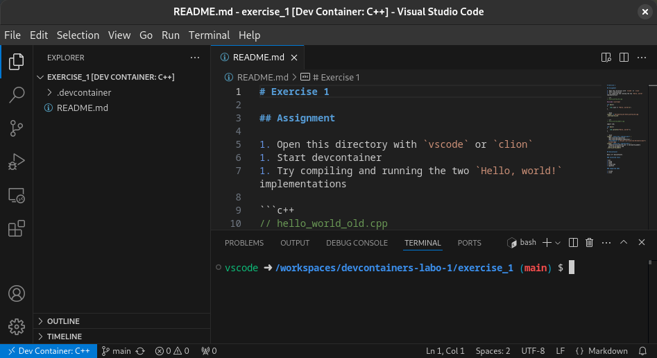 vscode devcontainer connected